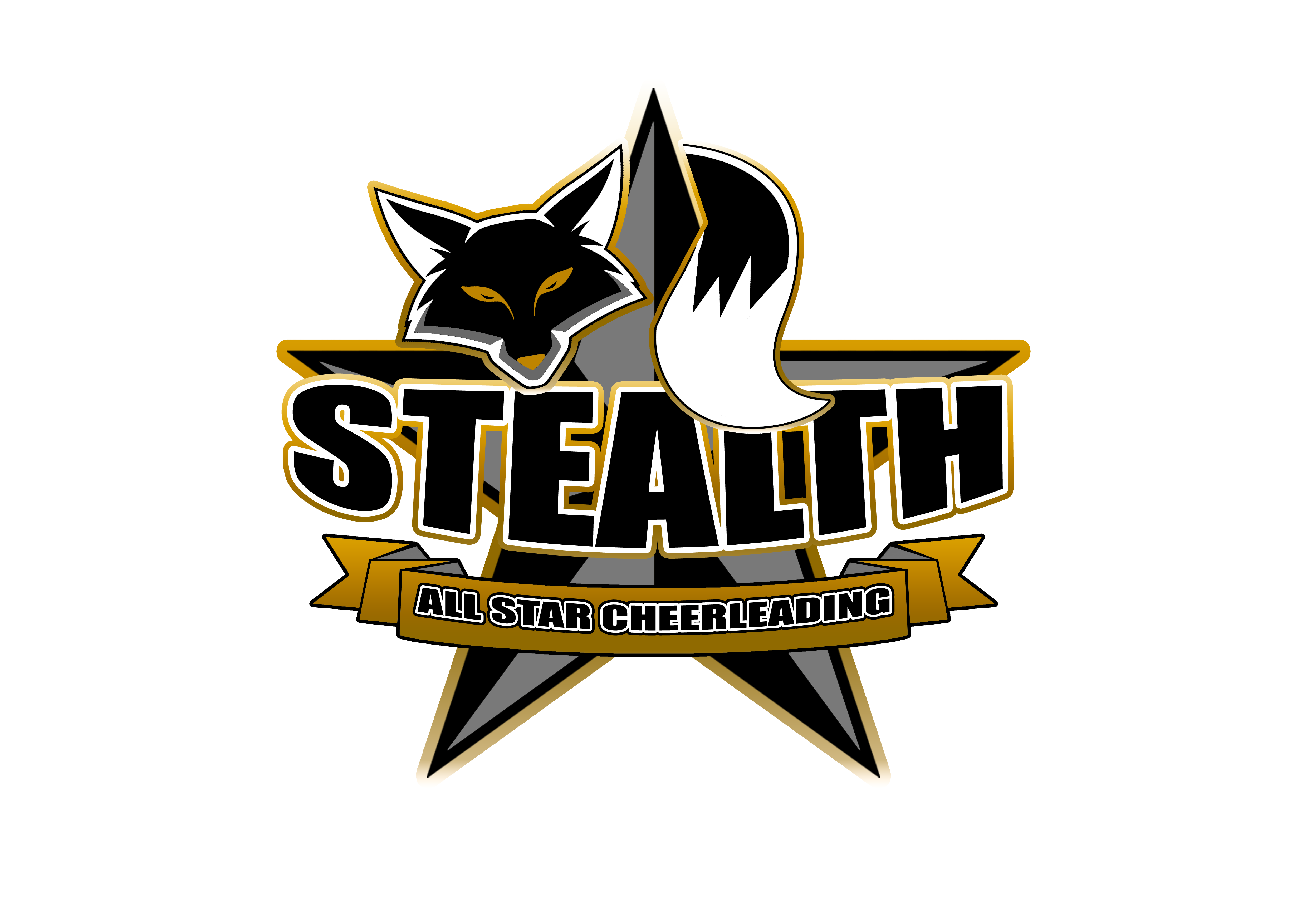 Stealth Cheer